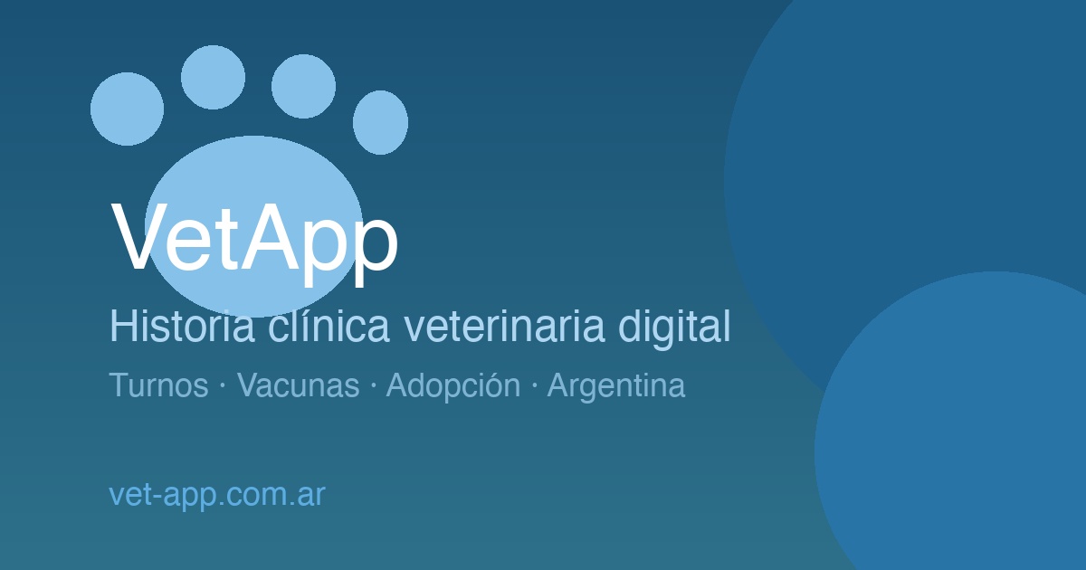 Banar Cómo bañar un perro correctamente: cuándo ir al veterinario | Blog VetApp